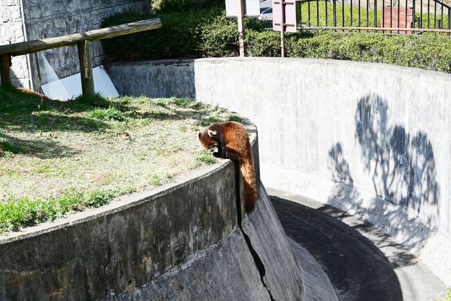 「あ~あ、はらがへったしもうた」