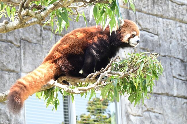 上から覗いたり。