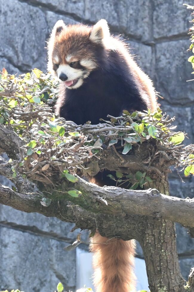 「おねえさん、なにしとるんかね」