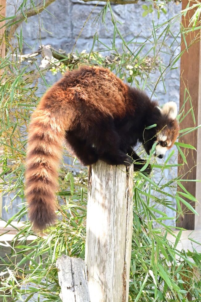 「はようしてや」