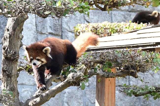 何処に行っても落ち着きません。