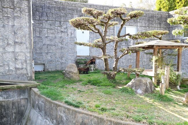 漸く扉が開く音がしました、今度は間違い有りません。