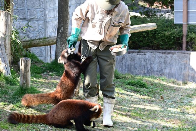 キター＼（Ｔ∇Ｔ）／