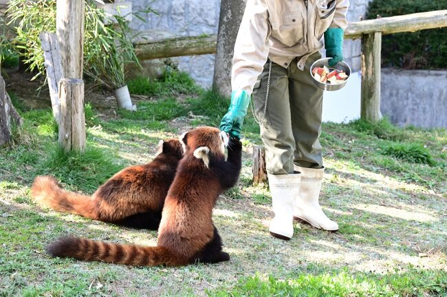 仲良く順番に貰います。