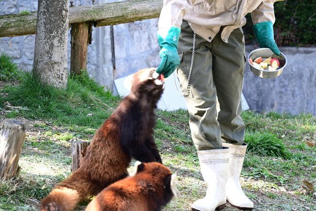 ハイ次はカカくん。