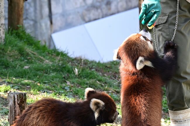 「もっとちょうだい」