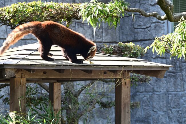 ホイみつけた。