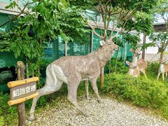 道東と言えば「豊かな大自然・野生動物」のイメージですが、釧路空港に住んでいる動物に最初の挨拶を済ませ、レンタカーを調達します(^^)

今回の道東旅行の目的の１つが「野生動物に遭う」ですが、これに関しては、「遭遇してはいけない危険な相手は避けて」という条件付きですがね…