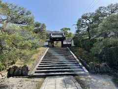 ぷらぷらと歩いていたら、霊鑑寺に到着。

ひと差しの光がお出迎え☆