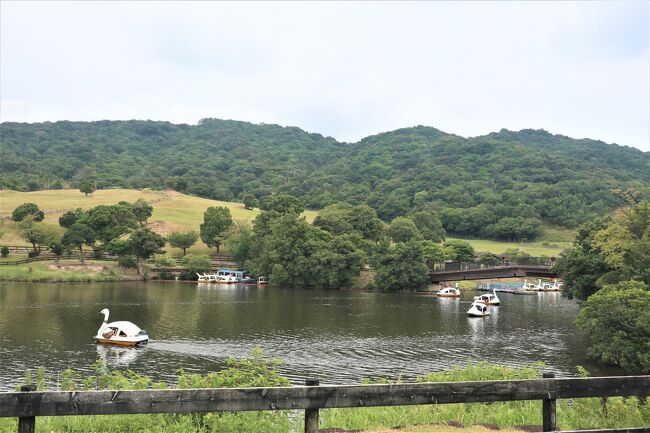 県境は越えず海を越えて「イングランドの丘」へ♪』兵庫県の旅行記 