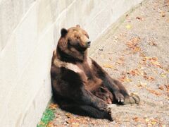 クマ公園

クマはベルンの名称や紋章の由来なった。

現在公園は移転。