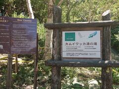 カムイワッカ湯の滝