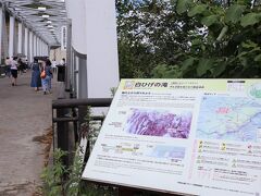 白ひげの滝　近くには白金温泉のホテルがたくさんあります