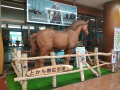 とかち帯広空港到着