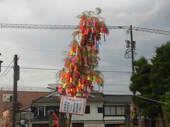 高岡大仏の敷地にも笹。