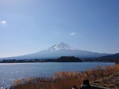 河口湖の大石公園に来ました。ここからの眺めも最高です。