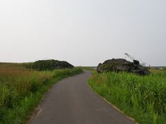 さて、このままホテルにじっとできる訳もなく、早速食後のお散歩。
今日は移動もして疲れているだろうから近くの公園で散策くらいがちょうどいいかな、とほぼノープラン。
