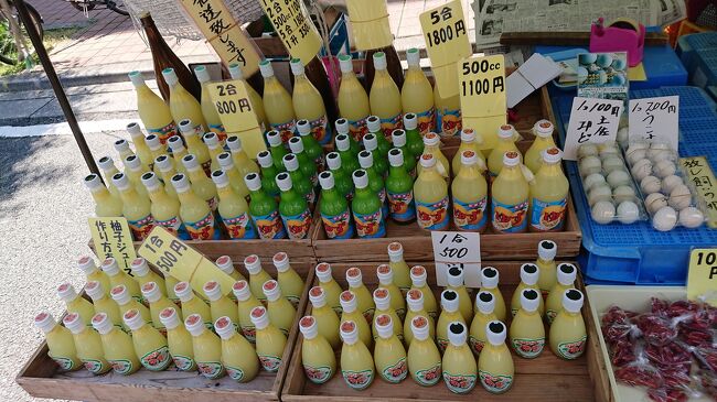高知市 日曜市 高知市 高知県 の旅行記 ブログ By こたままさん フォートラベル