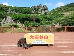 そして次が大石林山。
一番楽しみにしていた場所です。