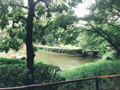 雨の横浜公園を歩く。