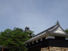 お城好きと言うわけではないのですが日本国内に残る木造の１２古天守の一つとか代名詞が付くと、つい見なきゃと思うんですが辿り着く先までの石段が長いなー