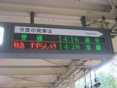 という訳で、敢えて先行の追分行き普通列車に。

追分からおおぞらさんに乗車しましょう。