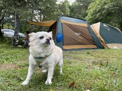 最終日の朝はやっと晴天。
朝んぽならぬ、朝の解放。
結局3泊4日の中日はずっと雨でした。