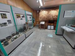 ビジターセンター。宿のすぐ近くなのに、子供たちは行くタイミングなく…
小笠原の歴史や文化などかなり詳細に展示してあり面白かったそうです。

