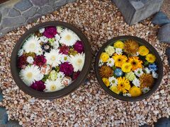 ［行田八幡通りの花手水］
お店の前に飾られた花手水たちも、毎回綺麗なお花を浮かばせてくれてます

