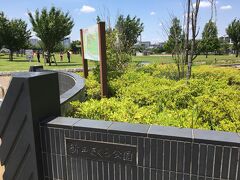 新田さくら公園