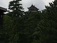 松江城 (千鳥城)
