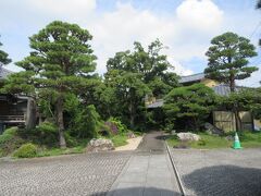 幸龍寺隣に建つ称往院。
明暦の大火で湯島から浅草に移転した際、寺にあった庵の庵主が作る蕎麦が有名になり、そば切り寺として知られていた歴史がある寺です。残念ながら修行の妨げになるということで、そば禁制の碑が建てられたそうです。碑は現在も寺に残っているとのことですが見ることはできませんでした。山門と本堂手前、庭に植えられた松が美しかったです。