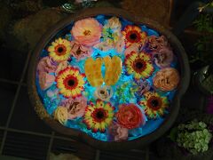 戸塚煎餅店の花手水ライトアップ