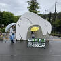 動物園とラーメンと丘と花と鶏めしと