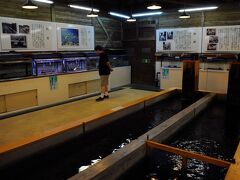お腹も満たされたので、早速イヨボヤ会館を見学する。
ここを訪れるのは７年ぶりである。
まずは、淡水魚などを見ることができる水族館のような場所を観る。
真ん中の生簀のような所には、もの凄い数の鮭の稚魚などが泳いでいた。
７年前と、そこはほとんど変わっていない感じだった。