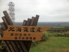 格子状防風林
中標津町、標津町、標茶町、別海町の4町にまたがる格子状防風林は、林帯の幅が約180ｍ、格子の一辺が約3キロメートルで、その総延長は約648キロメートルにも及ぶ巨大な林帯です。
その名前のとおり、この林帯には古くから農作物や人々を霧や吹雪による視界不良から守ってきた歴史があるといいます。
この特徴的な自然風景は2001年に北海道遺産として認定されました。
