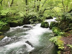 「阿修羅の流れ」というところです。落差があったり、急に曲がっていたりして、迫力のある流れになっています。ここも車で来ている人が多かったです。