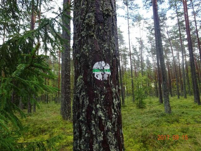 エストニアの自然に触れる散策です