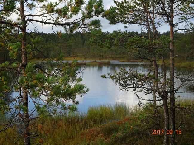 ため池の様な多くの池が点在しています