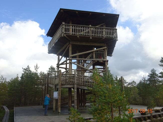 展望台からの景色も遠くまで見通せました