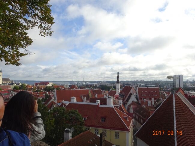 パットクリ展望台にも寄ってみました