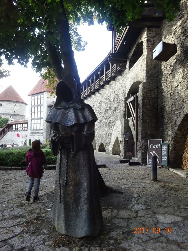 この城壁の中はタリンの歴史地区になっています