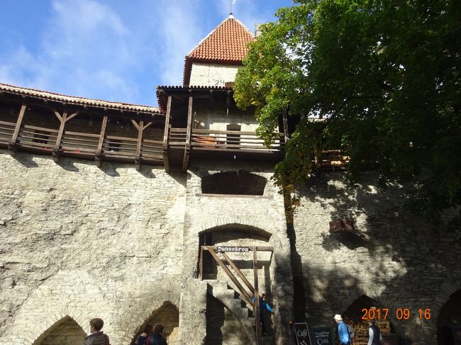 階段を登った場所がカフェです