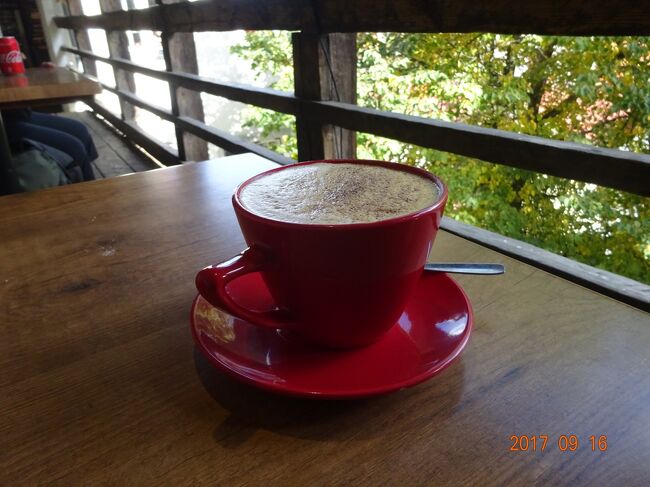 まずはコーヒーを一杯いただいて景色を楽しみます