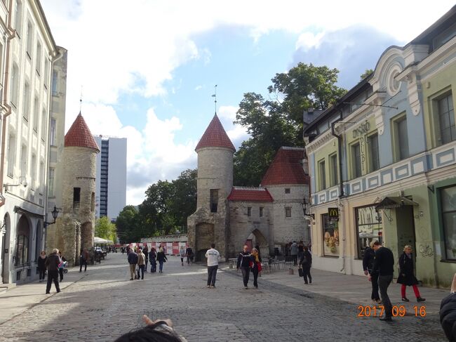 タリンの旧市街地の城壁と塔が見えてきました<br />この城壁は現在１，９キロに及び２５箇所の塔が残っています<br />ビル門の様子
