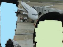 この頃まではA330型機が福岡便で飛んでいました。