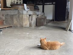 恵林寺の庫裏。ここに眠る武田信玄は今年生誕500年だとのこと