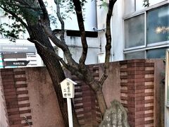 ホテルから銀座へ行く途中にある泰明小学校は由緒ある現役の小学校ですが、よくみると記念碑と掲示板数種がありました。