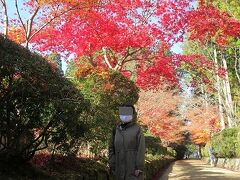 「蛇腹路」
「金剛峯寺」から「壇上伽藍」に向かう路地のこと。ここの紅葉も鮮やかで見とれてしまいました。この路地を掃き清めていた方が、私が写真を撮っている間は黙ってそっと脇によけてくれて、優しい気持ちが伝わってきました。他の場所でも、町の人のそんな配慮を感じられて、「御大師様」の精神が行き届いている町のようでした。