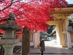 「別格本山 西南院」
このお寺も宿坊として、泊まることができます。
門前の紅葉が鮮やかでした。